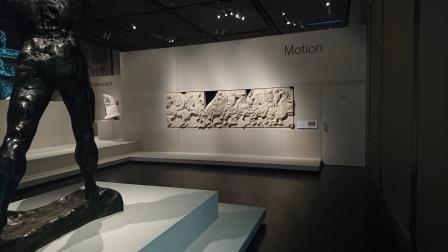 rodin 5 motion